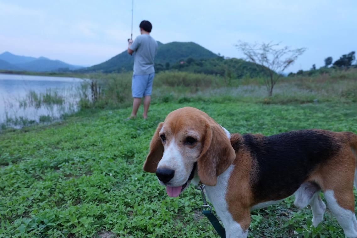 T And P Lake View Villa Kaeng Krachan Exterior photo